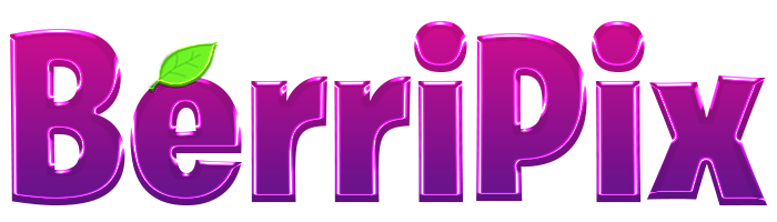 berripix.com